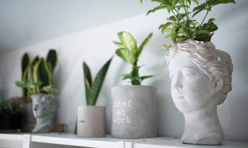 Modern Planter