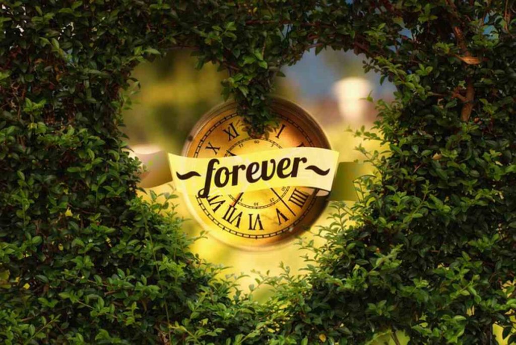 Forever Plant