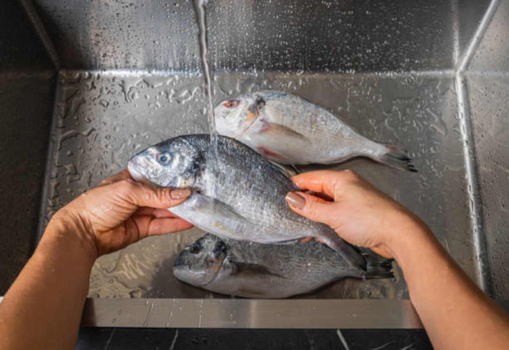Why Buy a Fish Cleaning Station