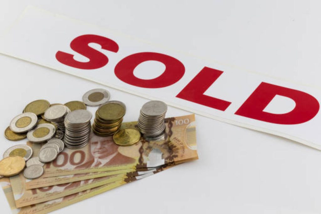 Solve a Loan Payment PT Crossword