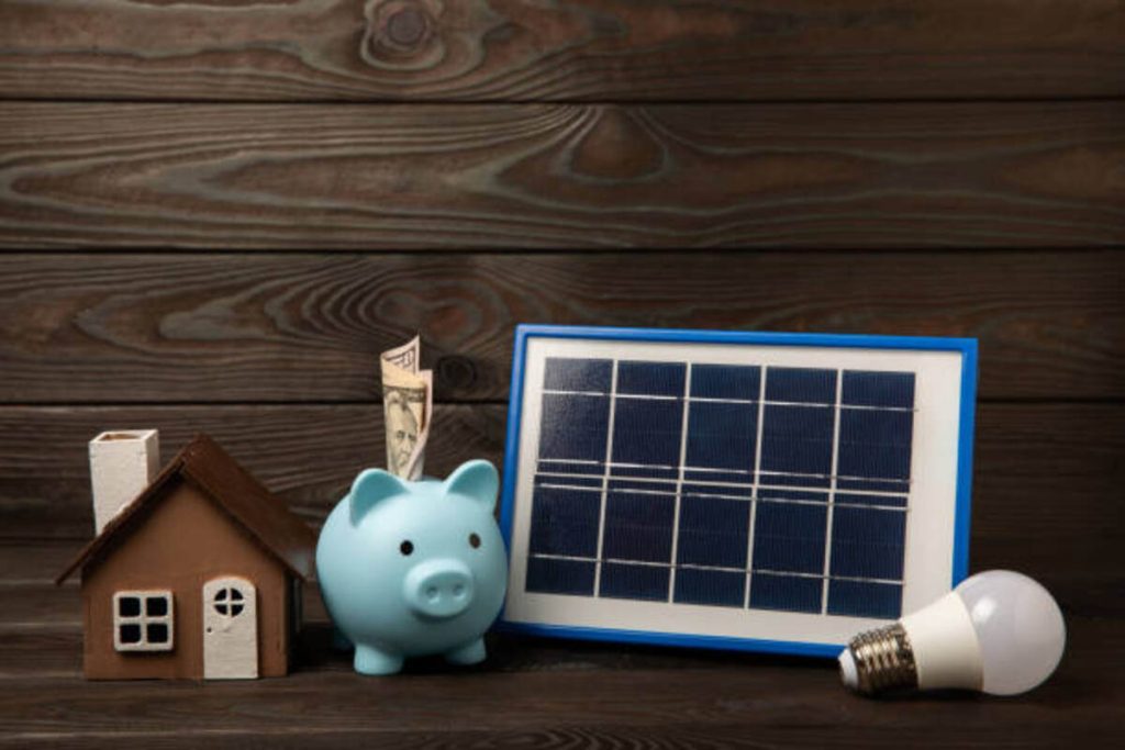 Reduce Your Energy Bills With a 310W Solar Panel