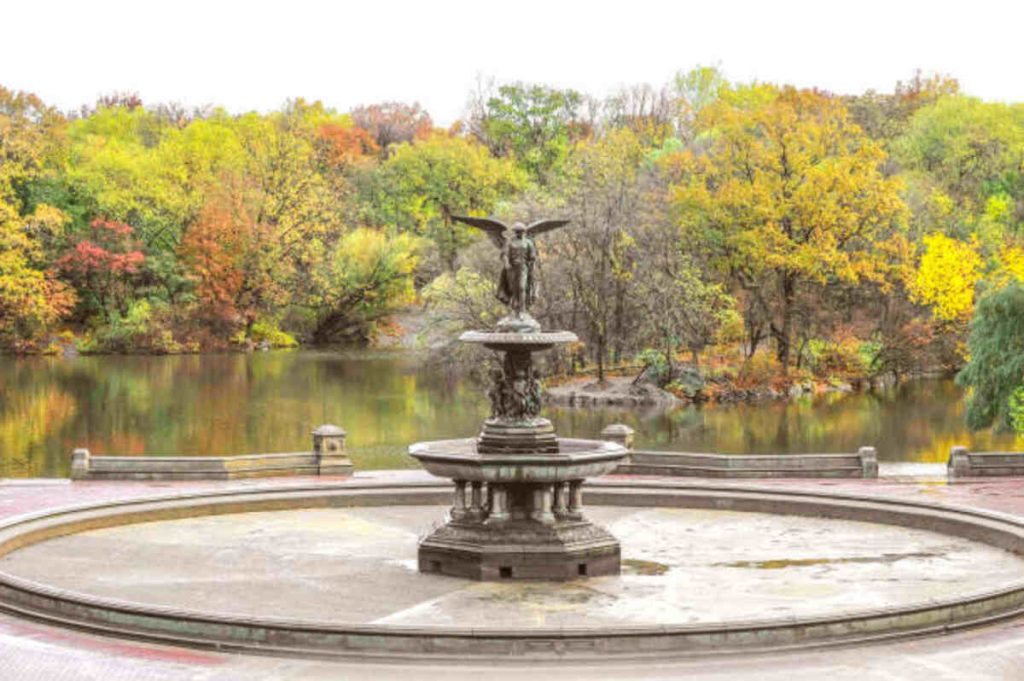 Central Park Beer Festival