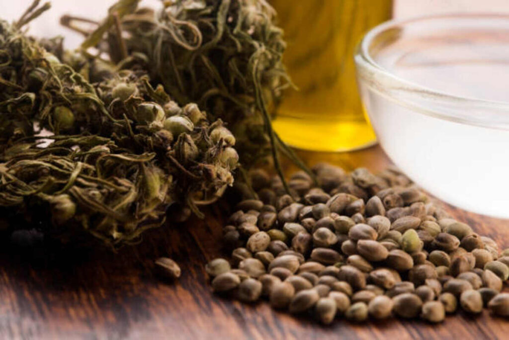 Advantages and Uses of Environment friendly Borneo Kratom